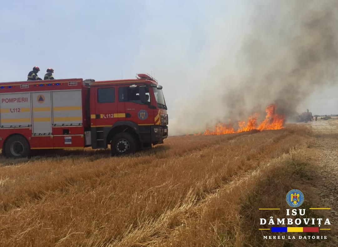 You are currently viewing Incendii de vegetație la Scheiu de Sus, Bălteni și Colacu! Pompierii au intervenit!