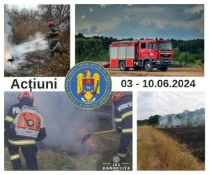 Read more about the article Aproape 300 de intervenții pentru pompierii dâmbovițeni, în ultima săptămână