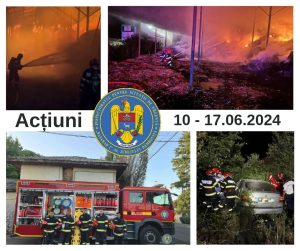 Read more about the article Peste 130 de pompieri dâmbovițeni intervin, zilnic, în această perioadă, pentru gestionarea situațiilor de urgență din județ