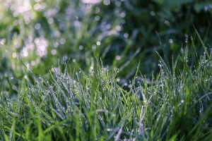Read more about the article Județul Dâmbovița iese, astăzi, de sub Codul Meteo de caniculă, dar nu pentru mult timp
