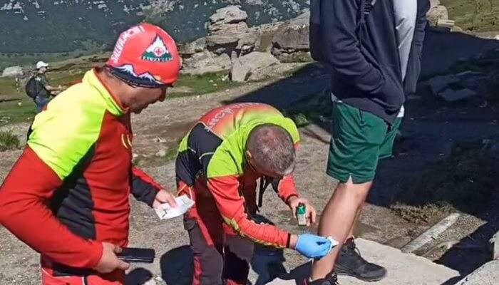 You are currently viewing Salvamontiștii fac apel la turiști să nu se apropie de animalele sălbatice, după ce un bărbat a fost mușcat de vulpe, în Bucegi