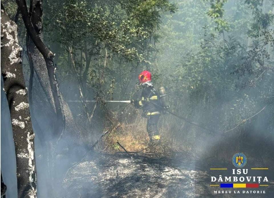You are currently viewing Incendii puternice de vegetație, în localitățile I. L. Caragiale și Crângurile!