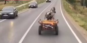 Read more about the article Amendă uriașă pentru conducătorul unei căruțe care mergea haotic pe DN 72, la Viișoara!