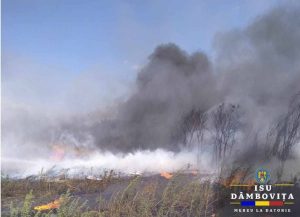 Read more about the article Incendiu de vegetație uscată, la Priseaca! Pompierii au intervenit!