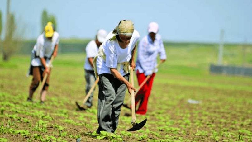 You are currently viewing Direcția Agricolă Dâmbovița: Dragi fermieri, vă rugăm să fiți extrem de precauți în aceste zile de caniculă!