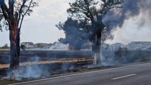 Read more about the article Incendiu uriaș pe Șoseaua Olteniței din sudul Capitalei