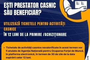 Read more about the article Tichetele de activităţi casnice pot fi utilizate sau valorificate în termen de 12 luni