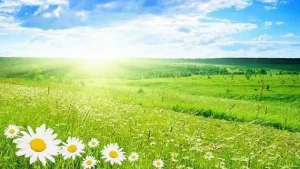 Read more about the article Un val de aer cald se instalează de astăzi în toată țara