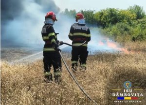 Read more about the article Incendiu puternic de vegetație uscată, la Mătăsaru! Pompierii au intervenit!