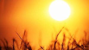 Read more about the article ANM: Până în august vor fi temperaturi ridicate și precipitații puține în România