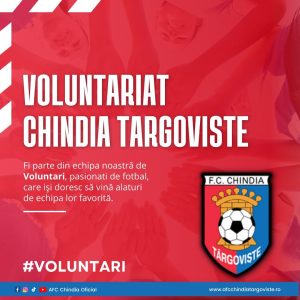 Read more about the article Chindia Târgoviște caută voluntari