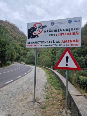 Read more about the article Pe Transfăgăran au fost instalate panouri de avertizare