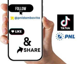 Read more about the article PNL Dâmbovița își invită simpatizanții pe TikTok