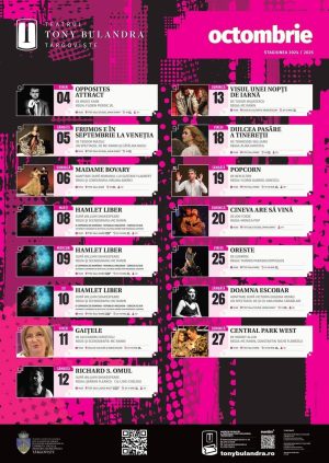 Read more about the article Vezi programul evenimentelor și spectacolelor la Teatrul Tony Bulandra, în luna octombrie!