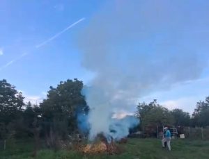 Read more about the article Bărbat din comuna Cojasca surprins de jandarmii dâmbovțeni în timp de incendia diverse deșeuri