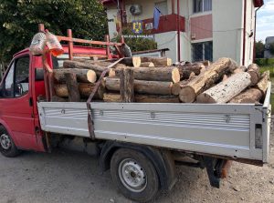 Read more about the article Bărbat din Drăgăești-Pământeni, amendat pentru transport ilegal de material lemnos!