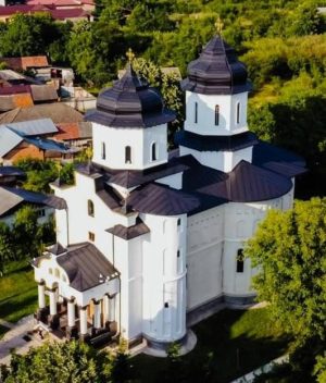Read more about the article LICITAȚIE PENTRU LUCRĂRI DE CONSERVARE-RESTAURARE PICTURĂ, LA PAROHIA VULCANA PANDELE