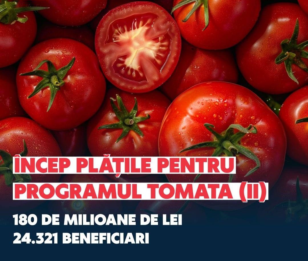 You are currently viewing Beneficiarii dâmbovițeni au primit în conturi banii pentru tranșa a doua a Programului Tomata