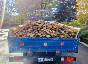Read more about the article Peste 7 m³ de material lemnos au fost confiscați de către polițiștii dâmbovițeni!