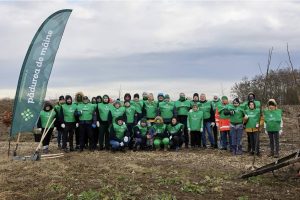 Read more about the article Fundația Pădurea de Mâine: O pădure-parc prinde rădăcini în comuna Brezoaele