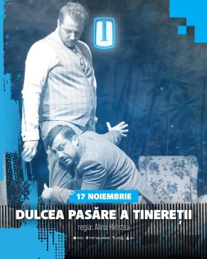 Read more about the article „Dulcea pasăre a tinereții”, diseară, la Teatrul Tony Bulandra din Târgoviște
