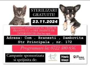Read more about the article O nouă campanie de sterilizări gratuite va avea loc pe 23 noiembrie, la Brănești