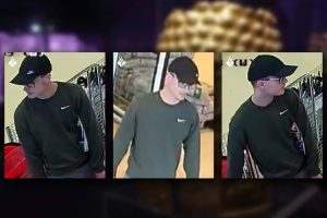 Read more about the article Poliția olandeză publică imagini cu un posibil suspect în furtul tezaurului dacic