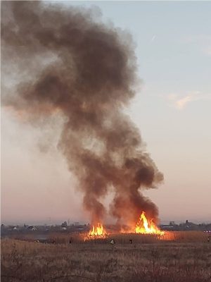 Read more about the article Incendiu puternic de vegetație, la ieșirea din municipiul Târgoviște! Pompierii au intervenit!