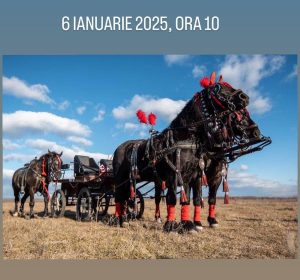 Read more about the article Locuitorii din Lucieni sunt invitați, de Bobotează, la „Botezul și Parada Cailor”
