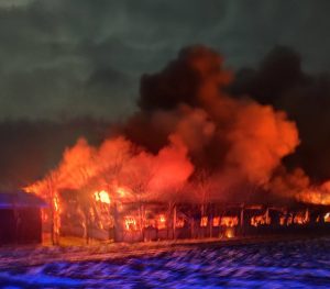Read more about the article O fermă cu 5.000 de porci din Suceava a fost mistuită de flăcări