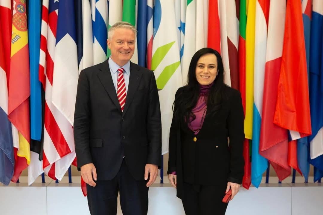 You are currently viewing Ministrul Muncii, întalnire bilaterală cu Mathias Cormann, secretar general al OCDE
