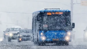 Read more about the article Curse suplimentate pentru transportul public târgoviștean, în condițiile Codului Galben de ninsori