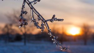 Read more about the article Vreme rece până spre finalul săptămânii, în județul Dâmbovița. Primăvara revine în weekendul Floriilor