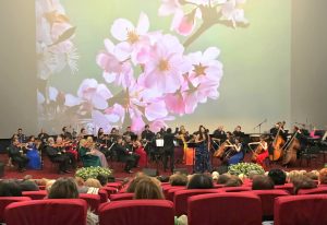 Read more about the article La Târgoviște a avut loc Concertul extraordinar „Primăvara Clasică Europeană”