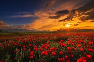 Read more about the article Vreme schimbătoare, dar caldă, în Muntenia, în următoarele două săptămâni