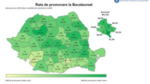 Read more about the article Niciun elev dâmbovițean nu a obținut media 10 la sesiunea de vară a BACALAUREATULUI