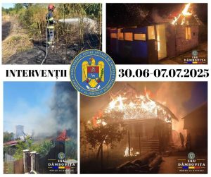 Read more about the article Pompierii dâmbovițeni au intervenit la stingerea a 34 de incendii, în ultima săptămână