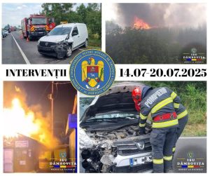 Read more about the article Număr tot mai mare de intervenții pentru pompierii dâmbovițeni, de la o săptămână la alta