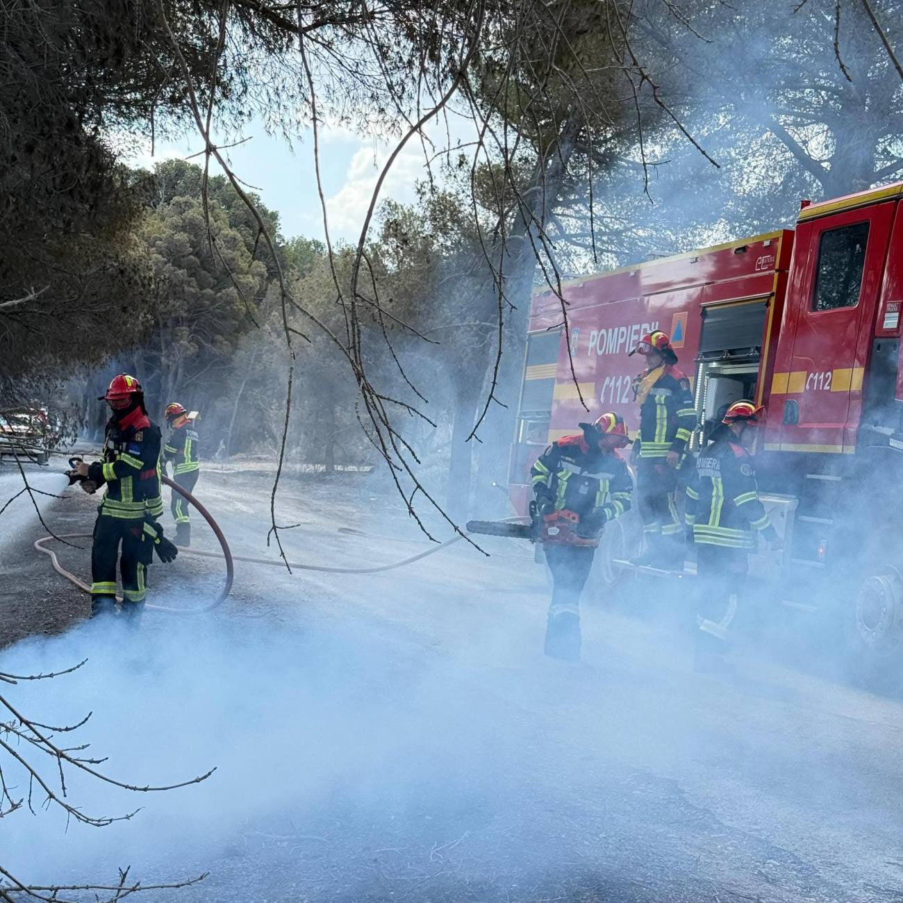 You are currently viewing Pompierii români trimiși în Franța participă la stingerea unui incendiu din localitatea Narbonne