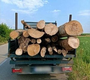 Read more about the article Bărbat din Braniștea, sancționat după ce a fost depistat transportând ilegal material lemnos!
