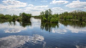 Read more about the article O ambarcațiune cu 13 persoane s-a răsturnat în Delta Dunării