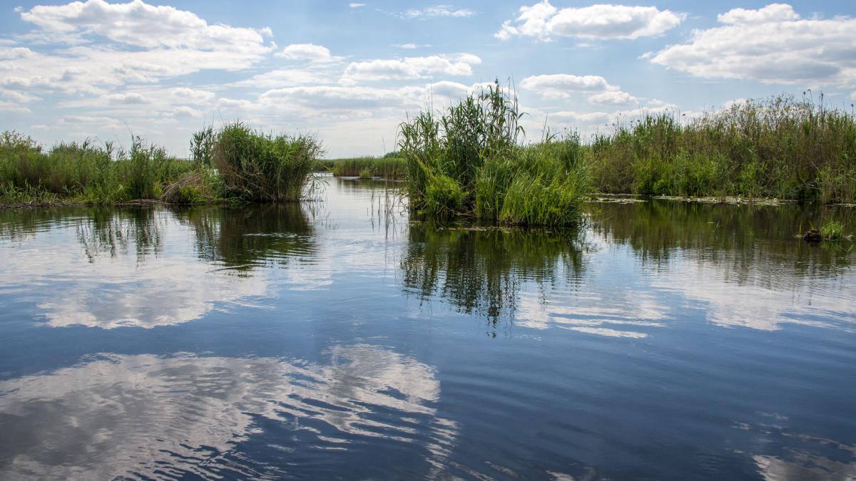 You are currently viewing O ambarcațiune cu 13 persoane s-a răsturnat în Delta Dunării