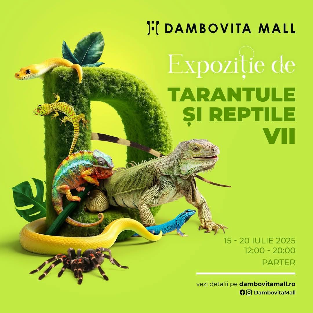 You are currently viewing Expoziție de tarantule și reptile vii, săptămâna aceasta, la Dâmbovița Mall