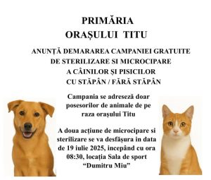Read more about the article Campanie gratuită de sterilizare și microcipare pentru animalele cu și fără stăpân, din Titu