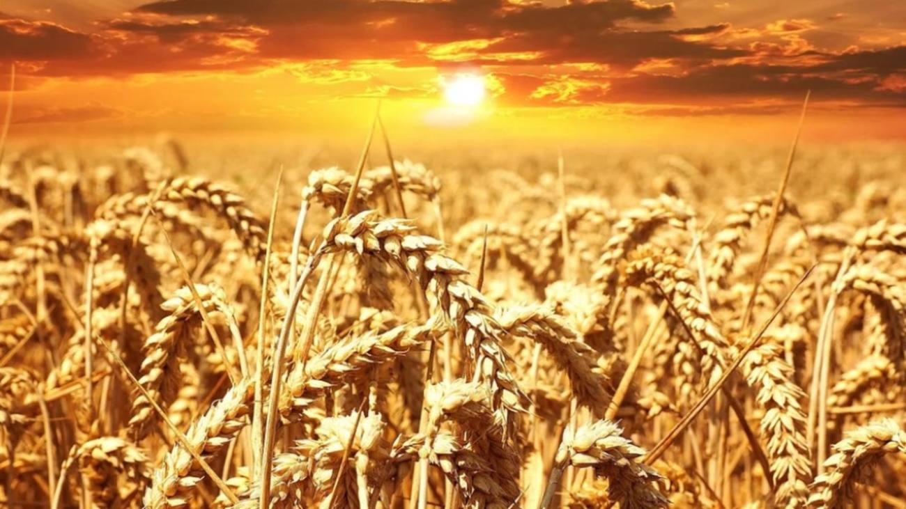 You are currently viewing Vreme schimbătoare, în următorul interval, în județul Dâmbovița, cu maxime ce vor varia între 25 și 36 de grade Celsius