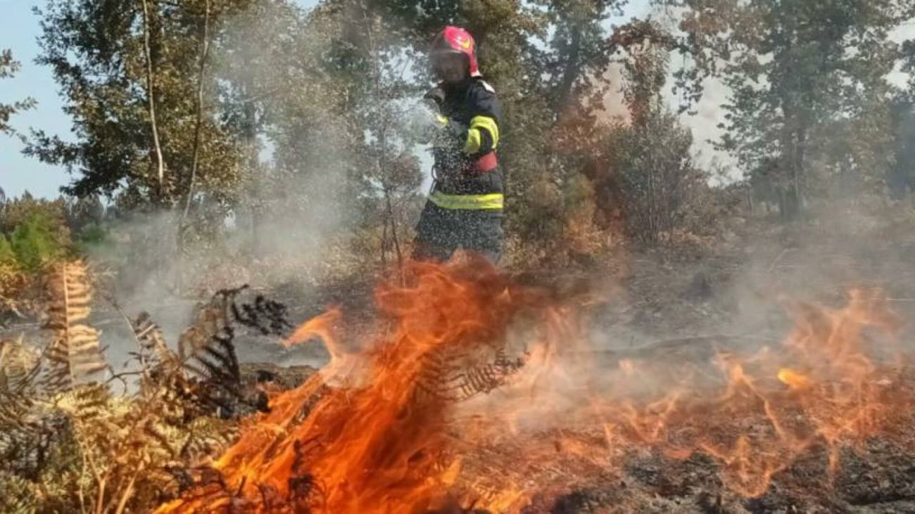You are currently viewing Incendiu uriaș în sudul Franței. Ard peste 16.000 ha de vegetație