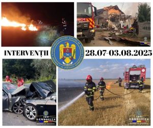 Read more about the article Peste 320 de intervenții ale pompierilor dâmbovițeni într-o singură săptămână