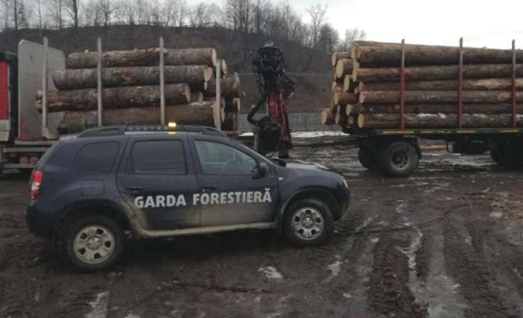 You are currently viewing Guvernul a decis să mărească cu aproape 200 de posturi schema de personal a Gărzii Forestiere Naționale