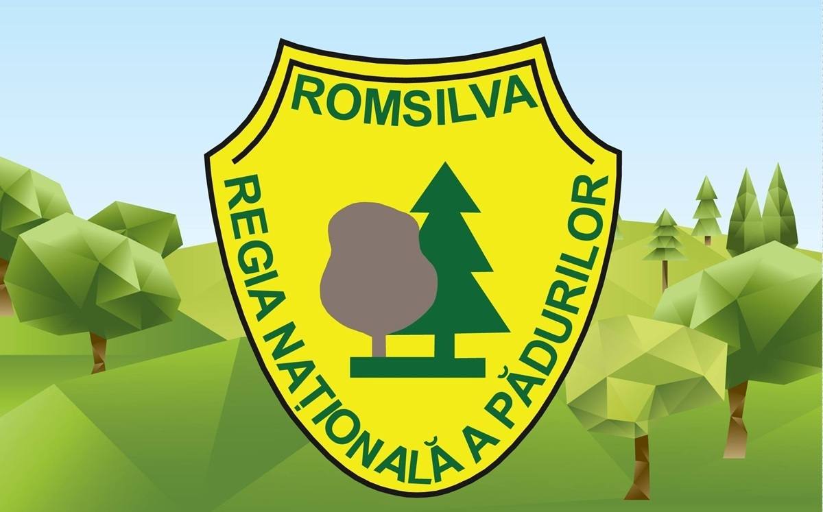 You are currently viewing Jean Vișan este noul director general interimar la Romsilva