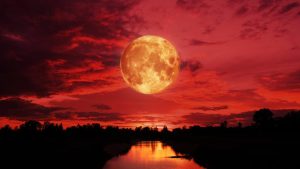 Read more about the article Fenomen astronomic spectaculos în această noapte: ,,luna sângerie”